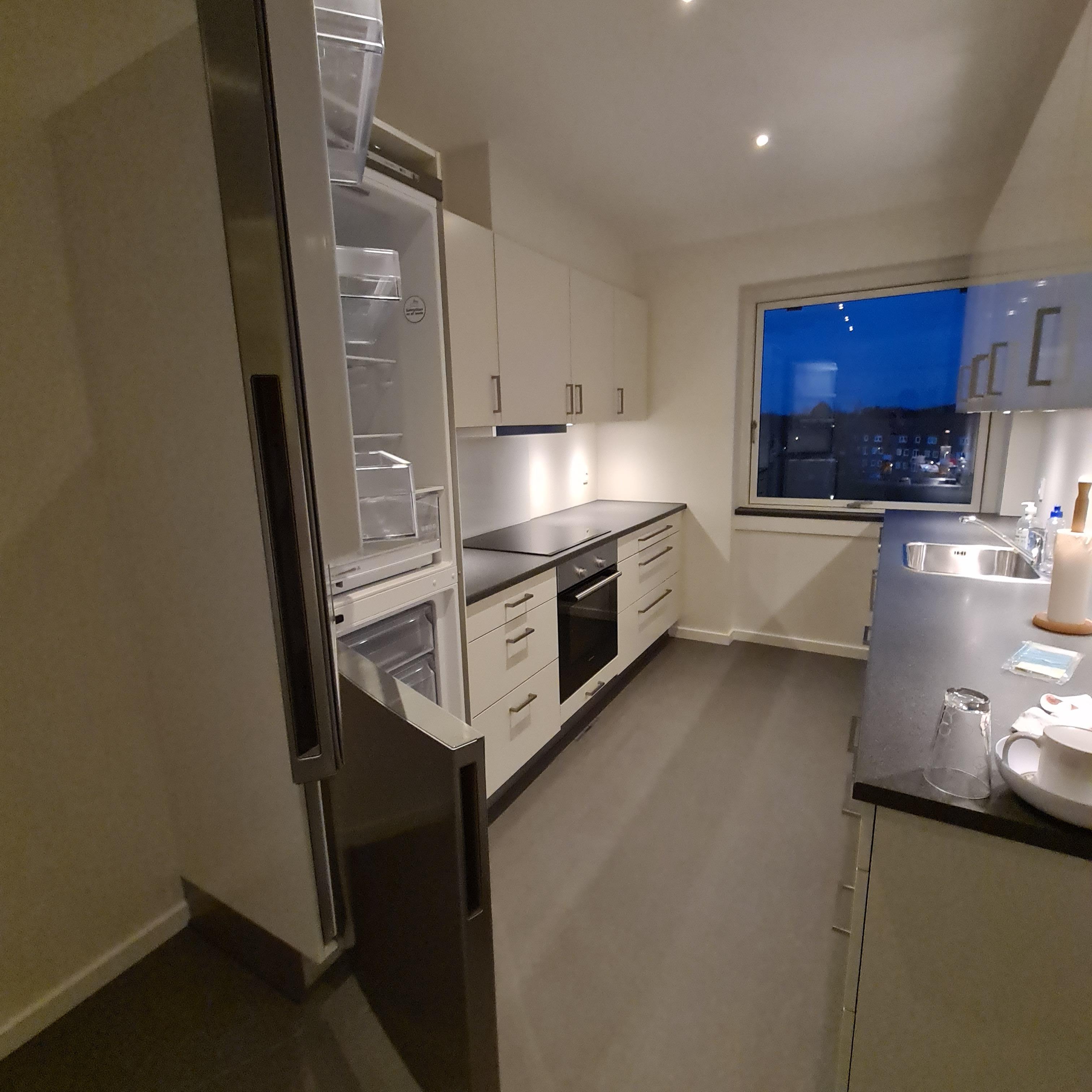 Moderne køkken med hvidt skab, stålapparater og vindue med udsigt over byen.