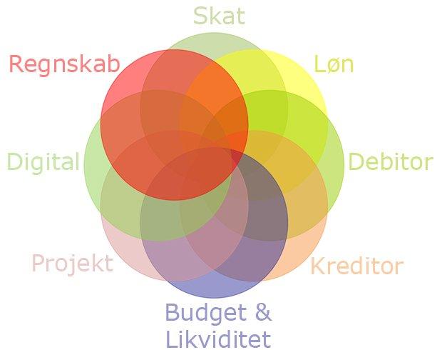 Venn-diagram der viser sammenhængen mellem budget, likviditet, regnskab, skat, løn, debitor, kreditor, digital og projekt.