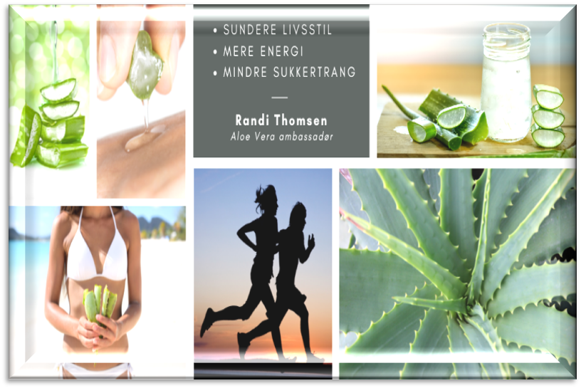 Billede med aloe vera, sund livsstil, energiske mennesker og sundhedsprodukter fra Randi Thomson, Aloe Vera ambassadør.
