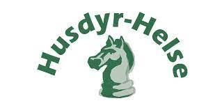 Logo for Husdyr-Helse med en hestekarakter i grøn og grå farver, der symboliserer dyresundhed.
