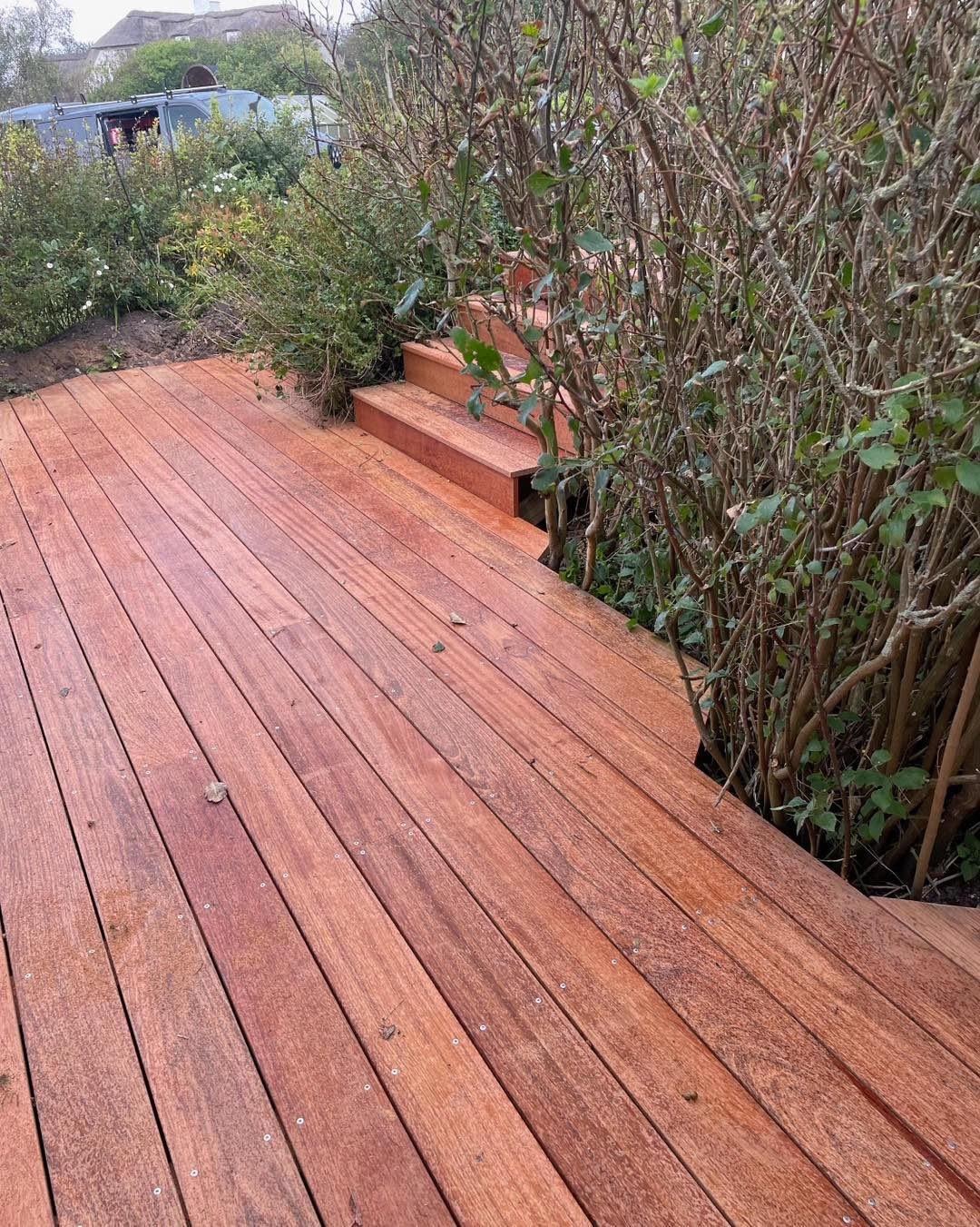 En træterrasse med trin, omgivet af buske og planter, der skaber en naturlig atmosfære.