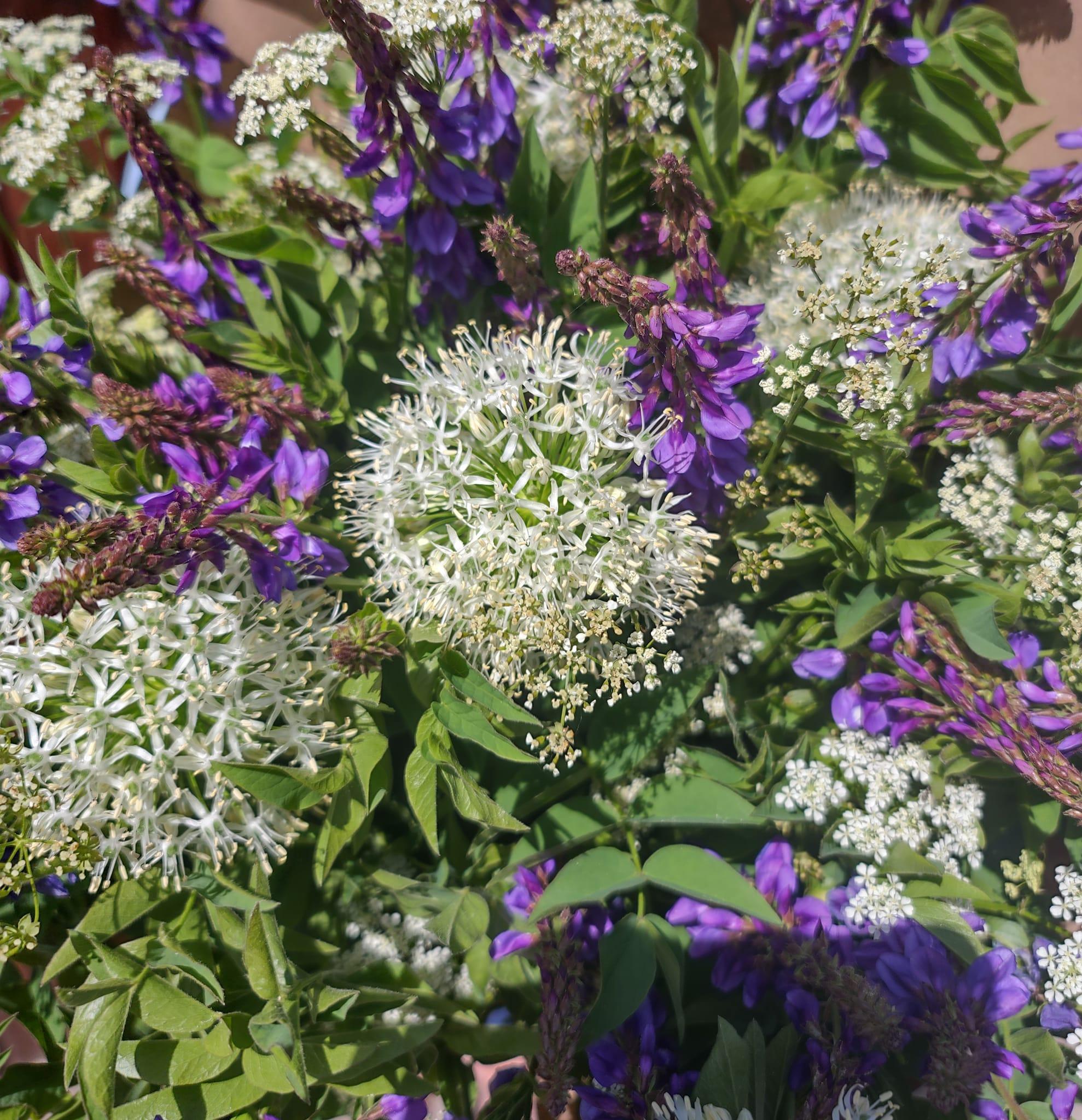 En farverig buket med hvide og lilla blomster, herunder skærmblomster og lupiner, pryder en grøn baggrund.