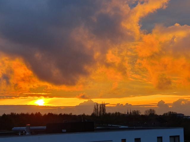 En smuk solnedgang med orange og gule nuancer, der lyser op over en skyline med skyer og træer.