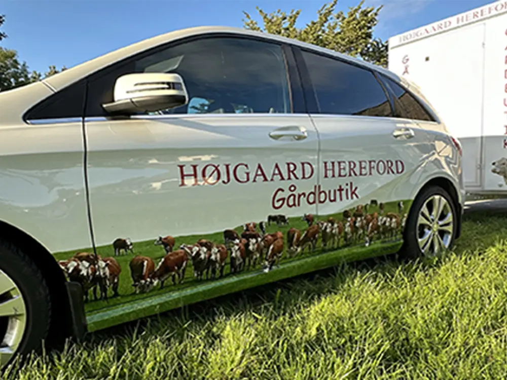 Højgaard Hereford gårdbutik bil med køer på siden, parkeret i grønt græs.