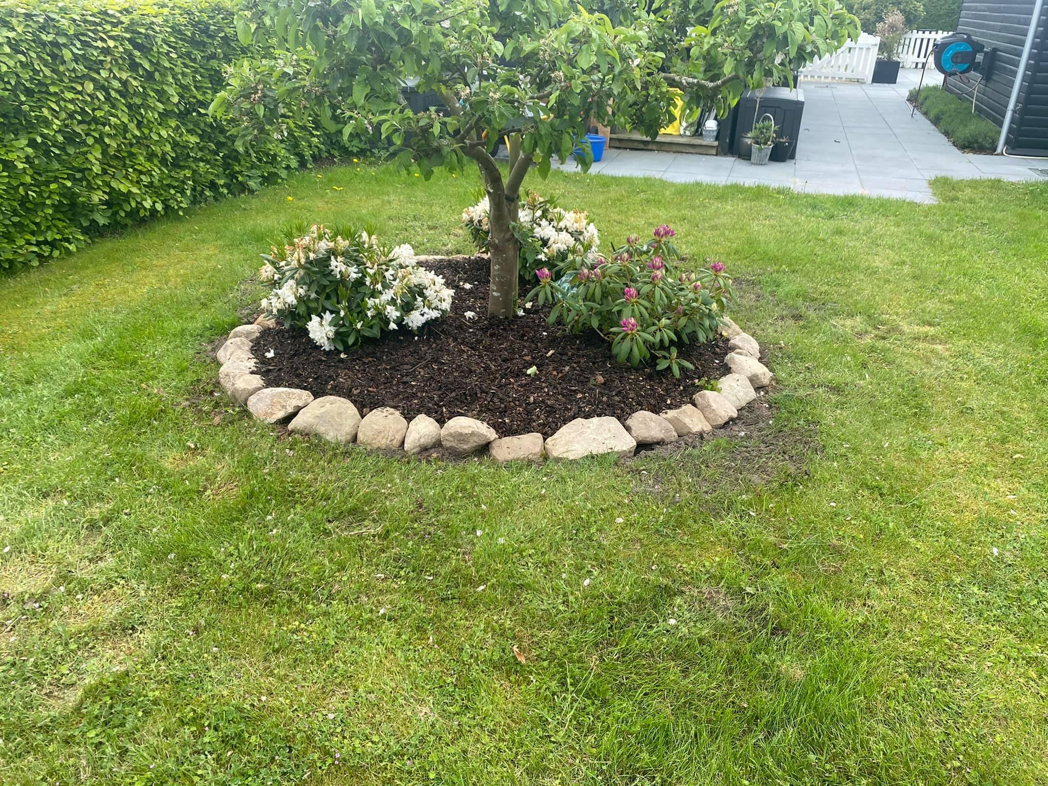 En have med en lille blomsterbed omkranset af sten, en træ i midten og grøn græsplæne omkring.
