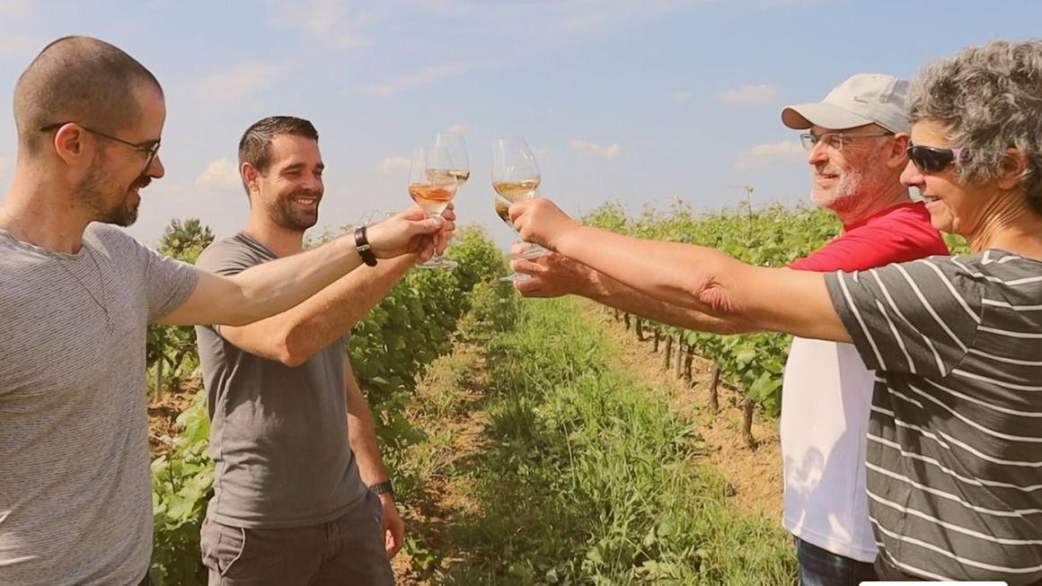 Fire personer skåler med glas i en vinmark under en klar himmel.