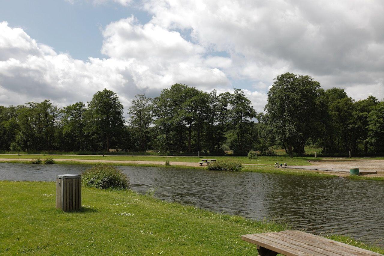 En fredelig park med en sø, grøn græsplæne og træer under en skyet himmel.