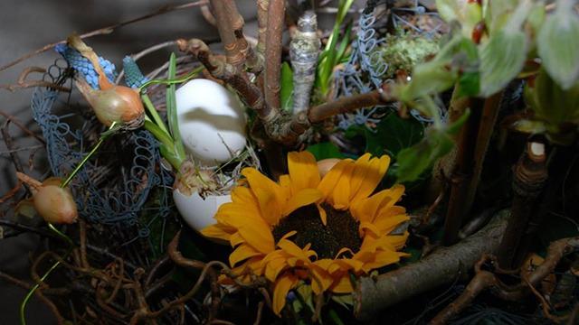 En solrose blandt grene, æg og grønne planter i en dekorativ sammensætning.
