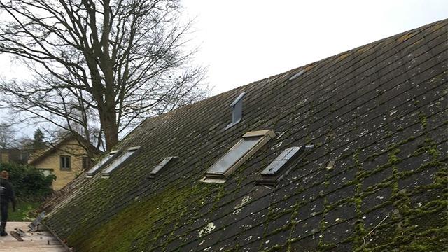 Tag med mos og vinduer, der er installeret i skråningen, med et træ i baggrunden og en person i nærheden.