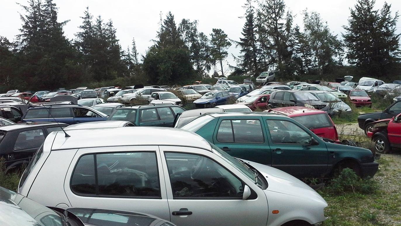 En stor samling af skrotbiler parkeret på en græsplæne omgivet af træer.