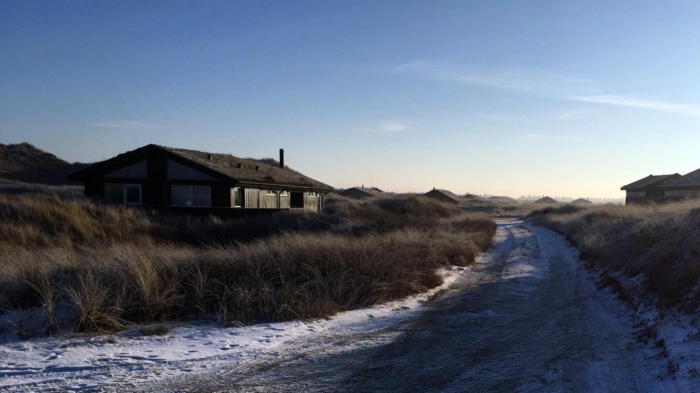 Vinterlandskab med en grusvej, omkranset af frosty græsser og sommerhuse i baggrunden.