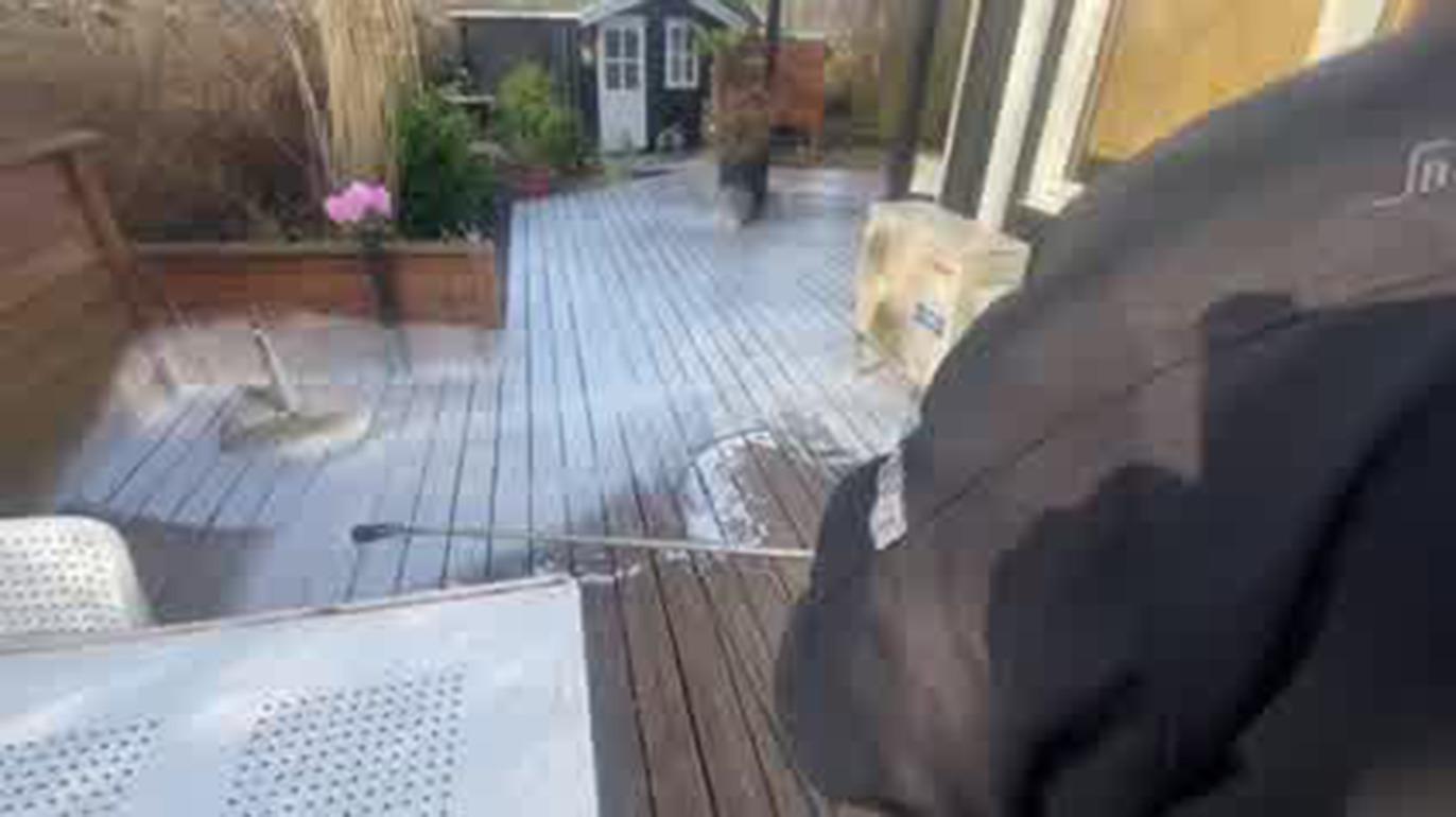 En person står på en terrasse med en hund, mens en lille bygning ses i baggrunden.