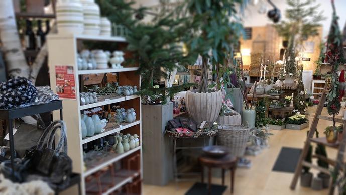 En hyggelig indretning af en butik med planter, keramik og dekorationer til hjemmet.