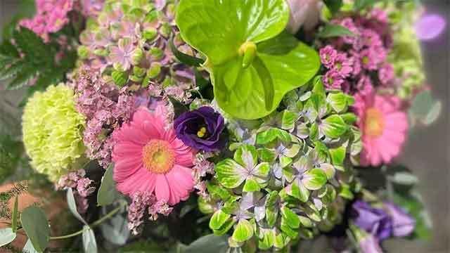 En farverig buket med lyserøde, lilla og grønne blomster, herunder gerbera, hortensia og anthurium.