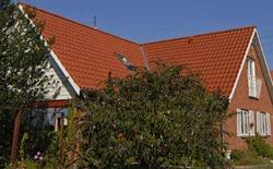 Et hus med rødt tag og grønne planter i haven under en klar blå himmel.