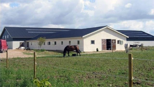 En hest græsser på en mark foran en stald med et moderne tag og en blå himmel i baggrunden.