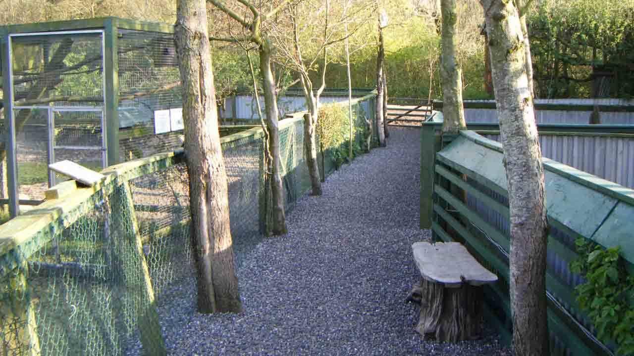 En grusbelagt sti mellem træer i en dyrepark med en bænk og indhegninger til dyr.