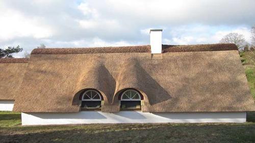 Et traditionelt stråtækt hus med buede vinduer og hvid facade, beliggende i et naturskønt område.