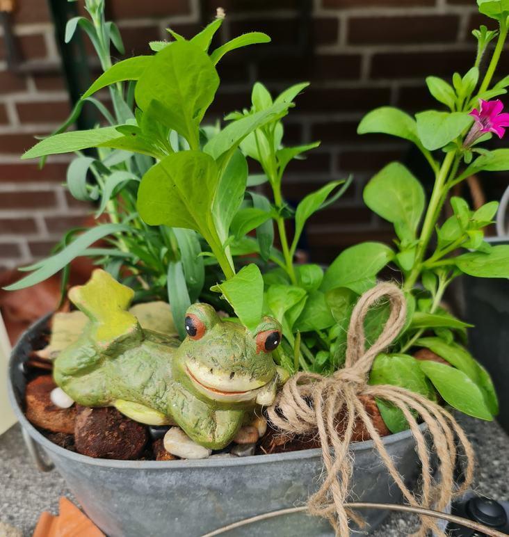 En dekorativ frøfigur i en plantekrukke med grønne planter og blomster.