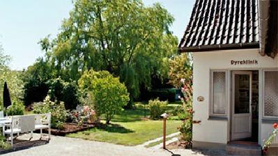 En hyggelig have med en stor træ, en terrasse og en hvid bygning med en dør og vinduer.