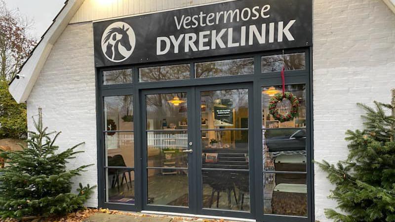 Facade af Vestermose Dyreklinik med store vinduer og en dør, omgivet af grantræer.
