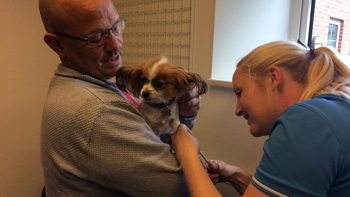 En mand holder en lille hund, mens en dyrlæge giver den en vaccination i et klinikrum.