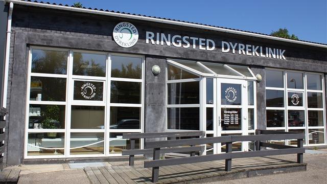 Ringsted Dyreklinik med store vinduer og en bænk foran indgangen, beliggende i et roligt område.