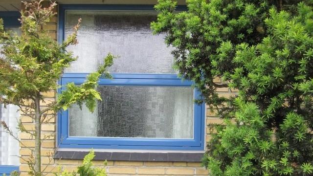 Blå vindue med struktureret glas omgivet af grønne buske og træer.