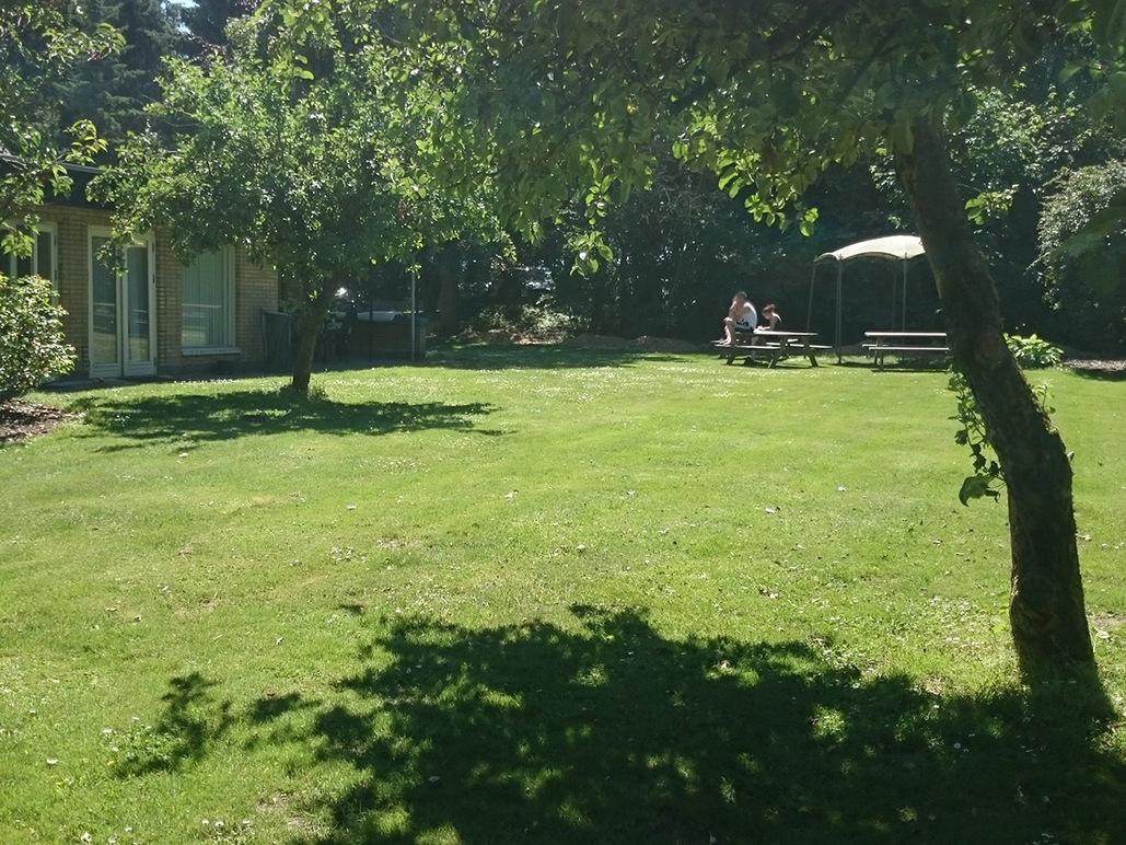 En solrig have med grøn græsplæne, træer og en terrasse med mennesker, der sidder ved et picnicbord.