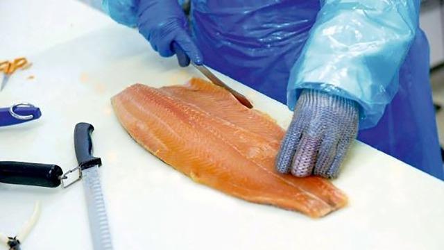 En person i blå beskyttelsesdragt skærer en laksfilet med en kniv på et hvidt skærebræt.