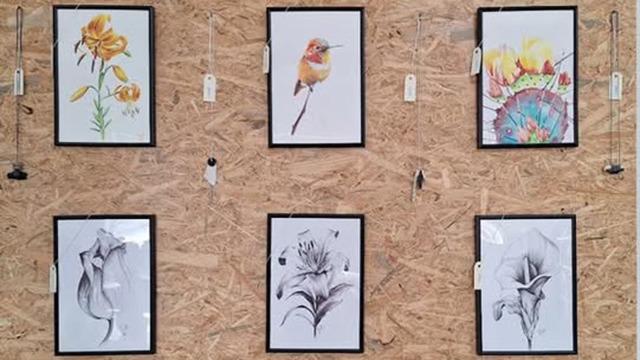 Væg med seks indrammede kunstværker, herunder blomster og fugle, hængende på en trævæg.
