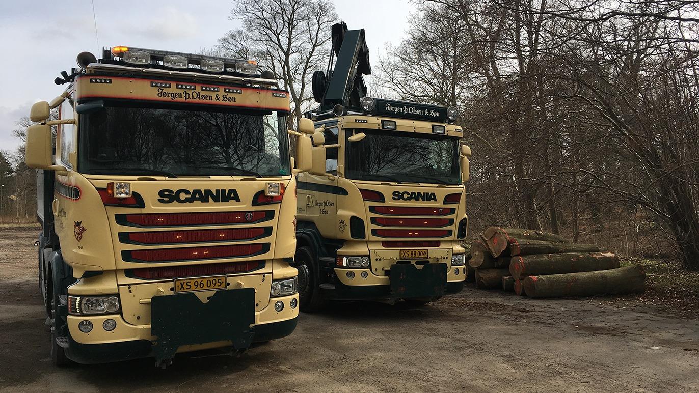 To store lastbiler fra Scania parkeret ved stammer af træ i en skov.