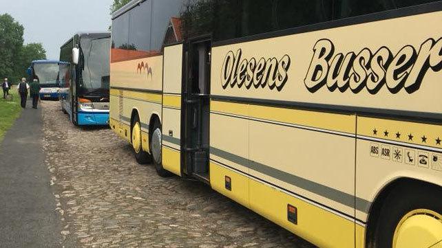 Bussene fra Olesens Busser parkeret langs en brostensbelagt vej med mennesker i baggrunden.
