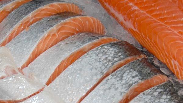 Frisk laks med skiver af rosa og sølvfarvet fisk, der ligger på is.