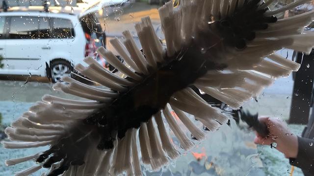 En bilvaskebørste rengør en bilrude med skum og vand, mens en anden bil er synlig i baggrunden.