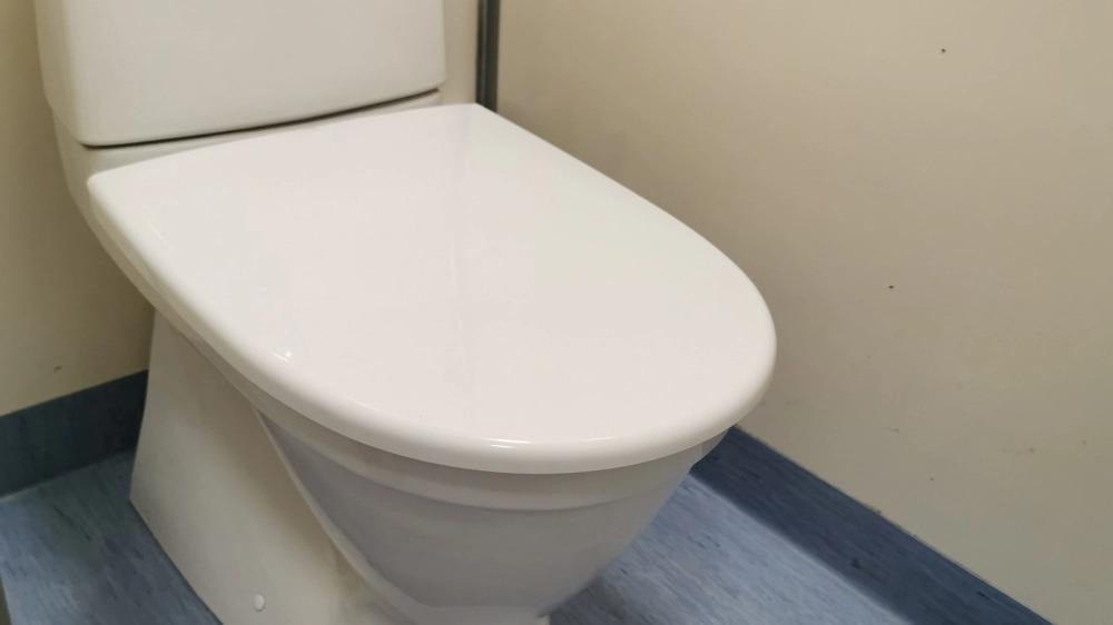 Hvid toilet i et badeværelse med lys væg og blå gulvbelægning.