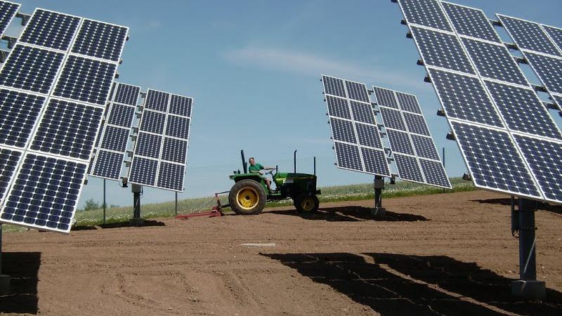Traktor mellem solpaneler på en mark under en klar blå himmel.