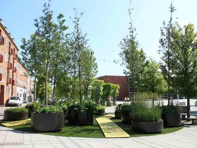 Grønne træer og planter i store krukker på en solrig plads med græs og gangstier i København.