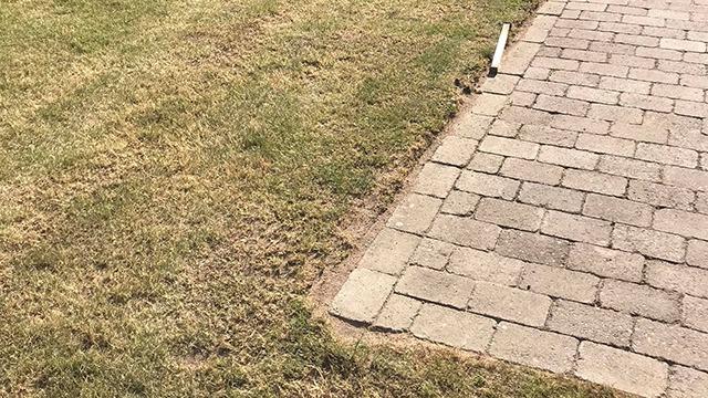Græsplæne med brune pletter ved en stenbelagt sti, der viser overgangen mellem græs og belægning.