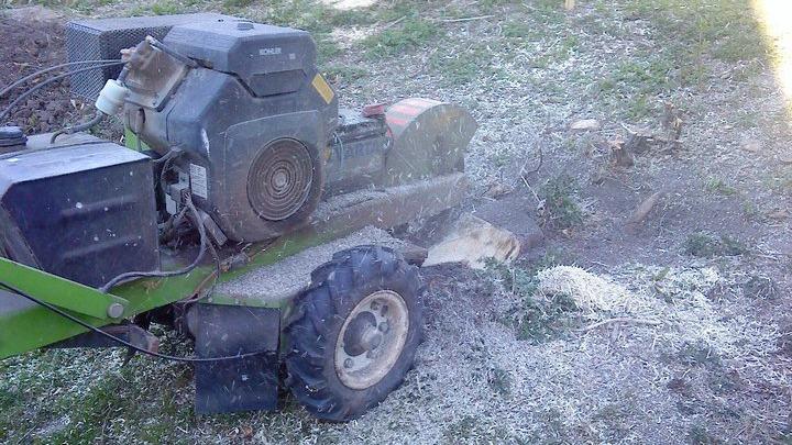 En græsslåmaskine med motor, der arbejder på en græsplæne, omgivet af klippet græs og jord.