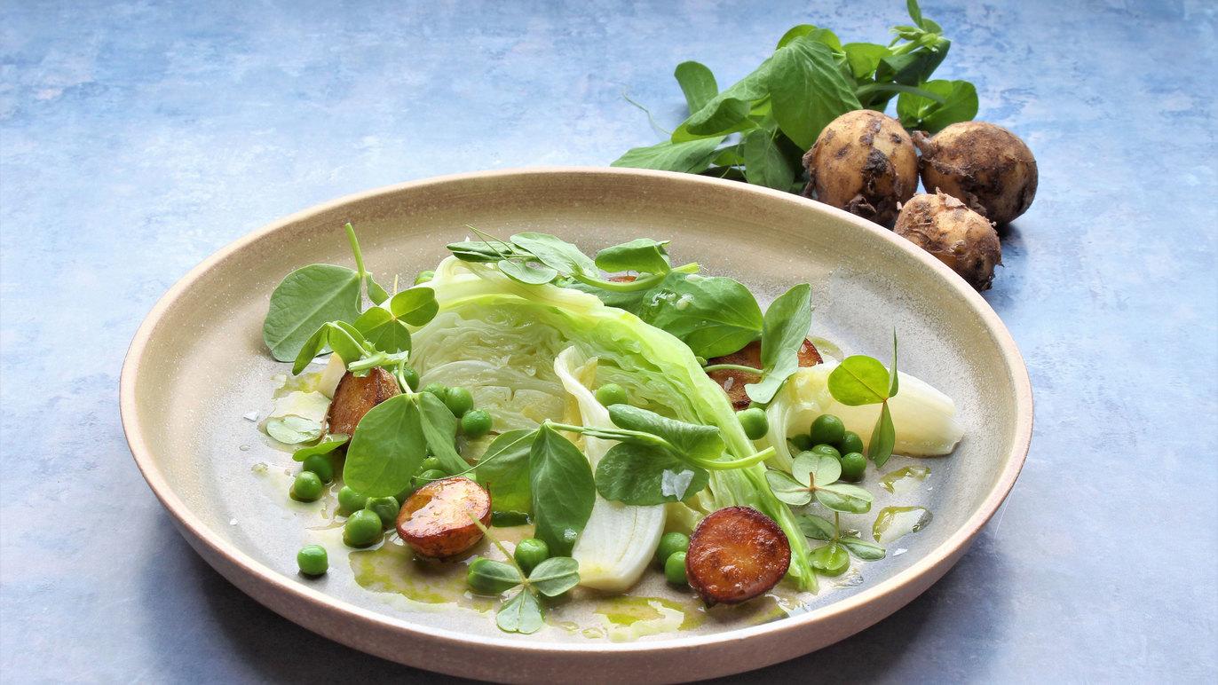 En farverig salat med friske ærter, salatblade, svampe og urter på en lys tallerken.