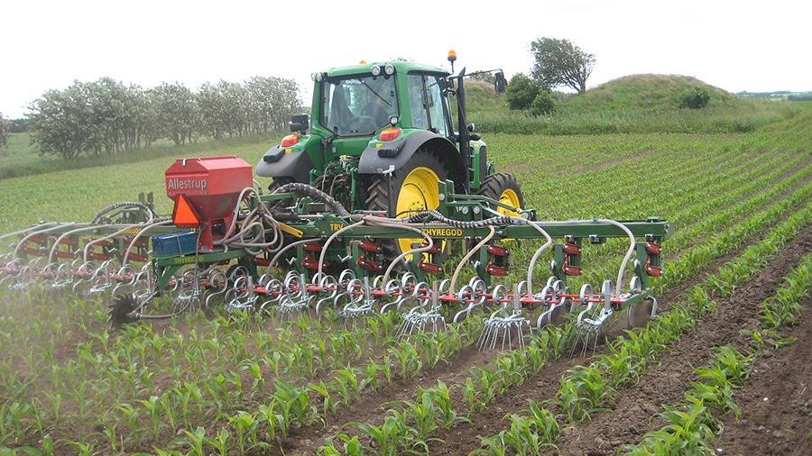 En traktor arbejder i en majsmark med en såmaskine, der planter frø i rækker.