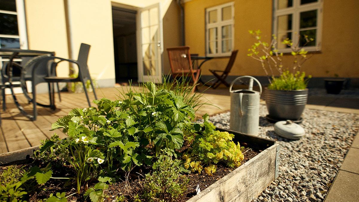 Køkkenhave med friske urter og grøntsager i en kasse på en terrasse med møbler og en vandkande i baggrunden.