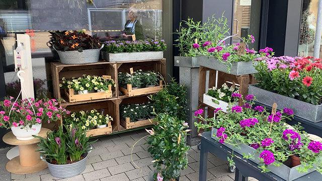 Blomsterbede med farverige blomster i kasser og potter foran en butik.