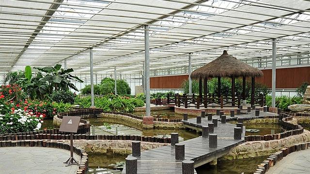En smuk indendørs have med en bro, en pavillon og frodige planter omkring en lille dam.