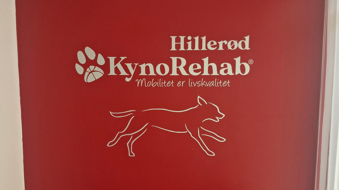 Hillerød KynoRehab logo med en hundesilhuet på en rød væg i en klinik for dyrefysioterapi.