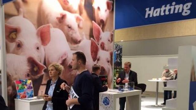 Messebillede med en stand fra Hatting, hvor besøgende interagerer, og grise ses på bagvæggen.