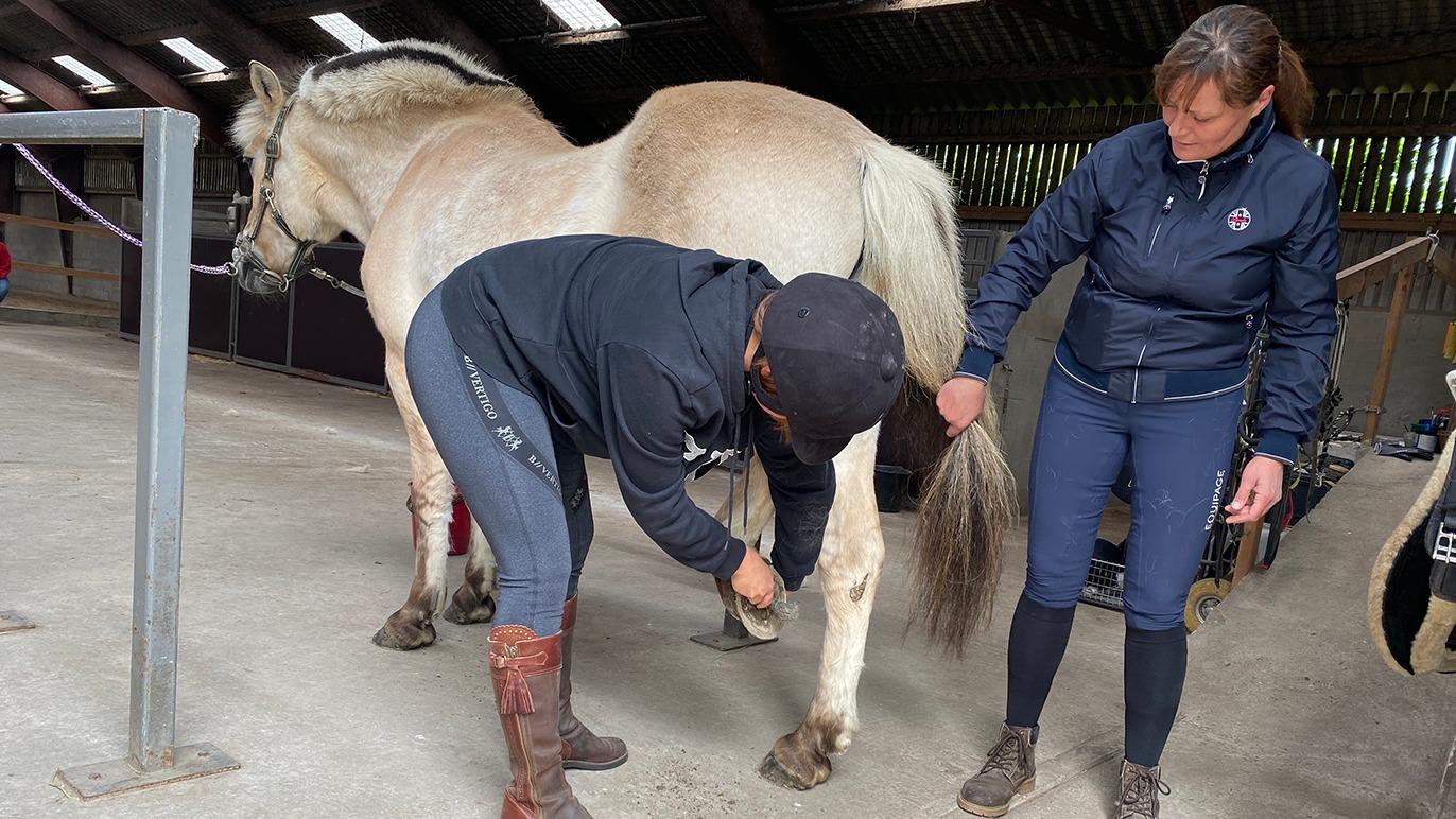 To personer plejer en hest i en stald, hvor den ene børster hestens ben og den anden holder halen.