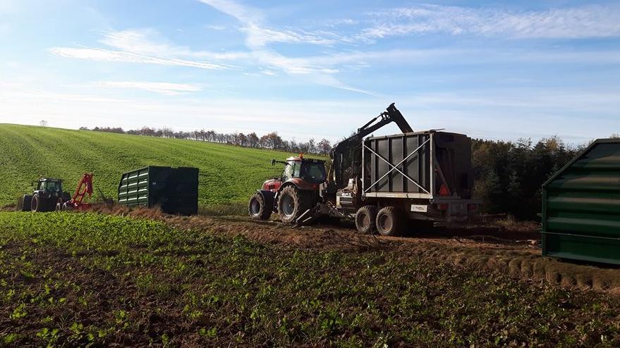 Traktor og trailer arbejder på en mark med grønne afgrøder under en blå himmel med skyer.