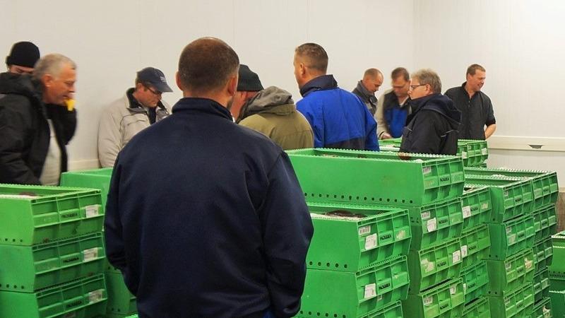 Mænd i arbejdstøj står omkring grønne kasser i et rum, der ser ud til at være en lagerfacilitet.